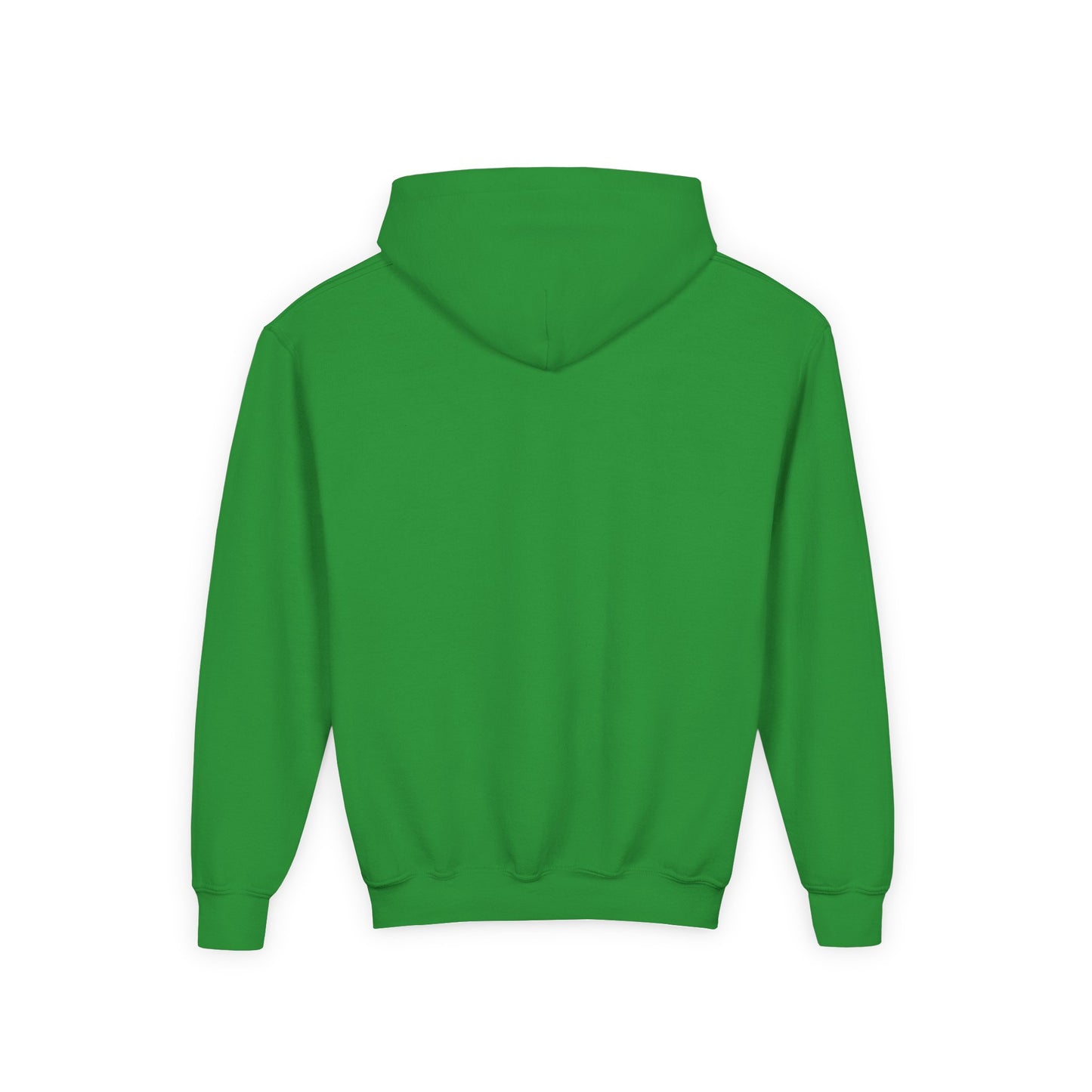 Youth Hockey Heroes Hoodie - Play Hard All Star Premiere League