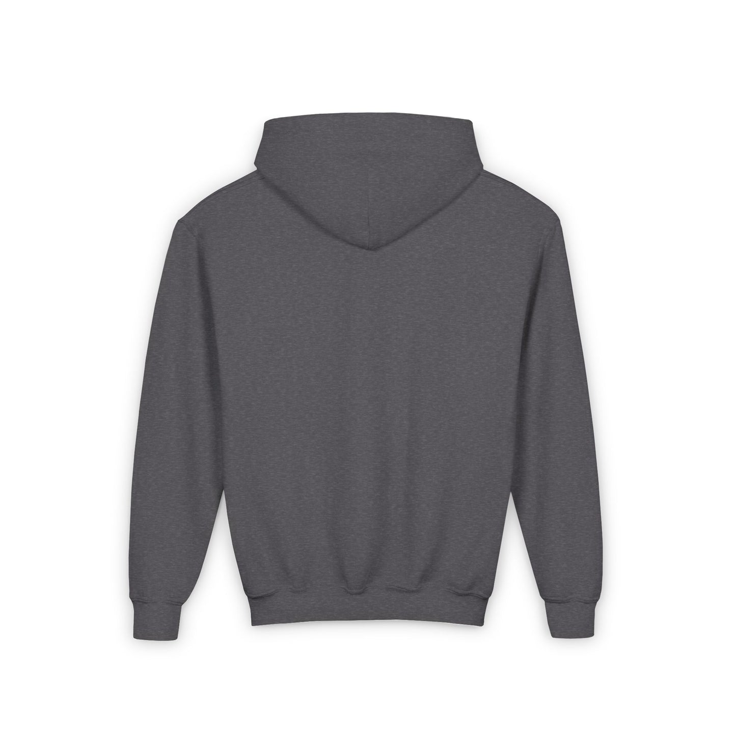 COLORADO Youth Hooded Sweatshirt - Retro Graphic Design for City Pride