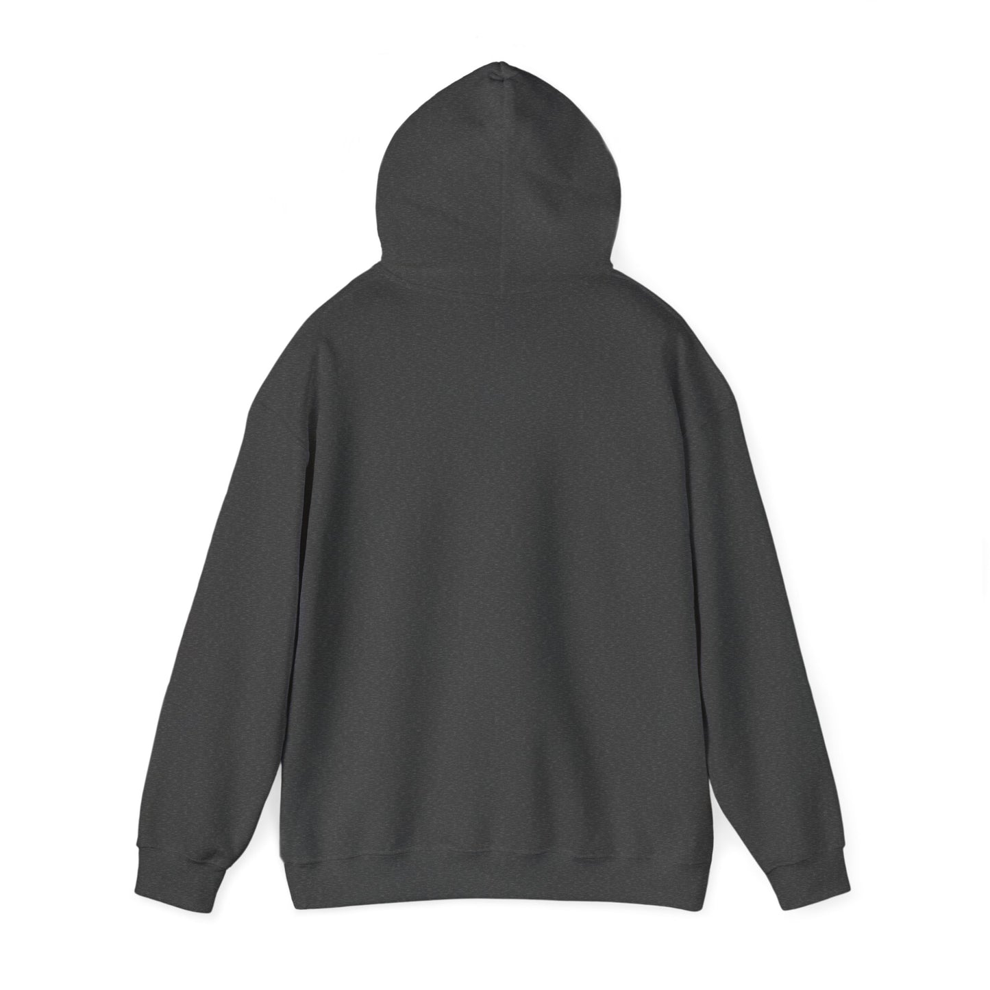 WINNIPEG ADULT Graphic Hoodie - Unisex Heavy Blend™ - CITY SERIES