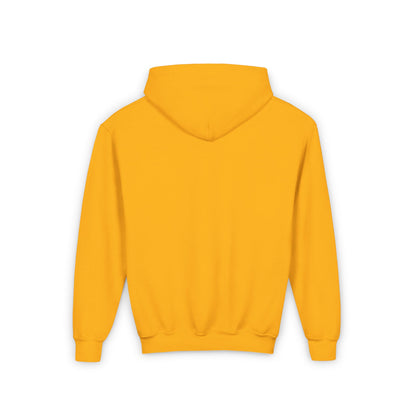 PITTSBURGH Youth Hooded Sweatshirt - Retro Graphic Design for City Pride