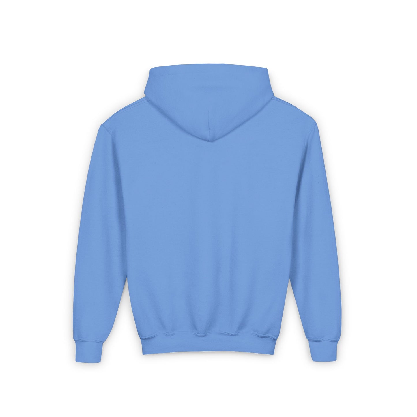 WASHINGTON Youth Hooded Sweatshirt - Retro Graphic Design for City Pride