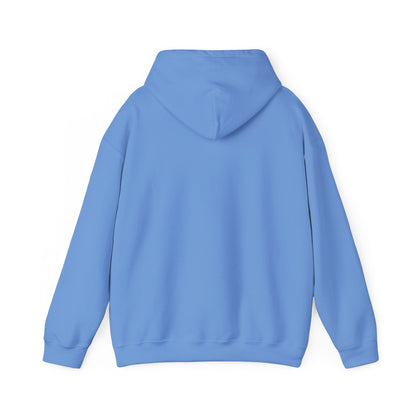 WINNIPEG ADULT Graphic Hoodie - Unisex Heavy Blend™ - CITY SERIES