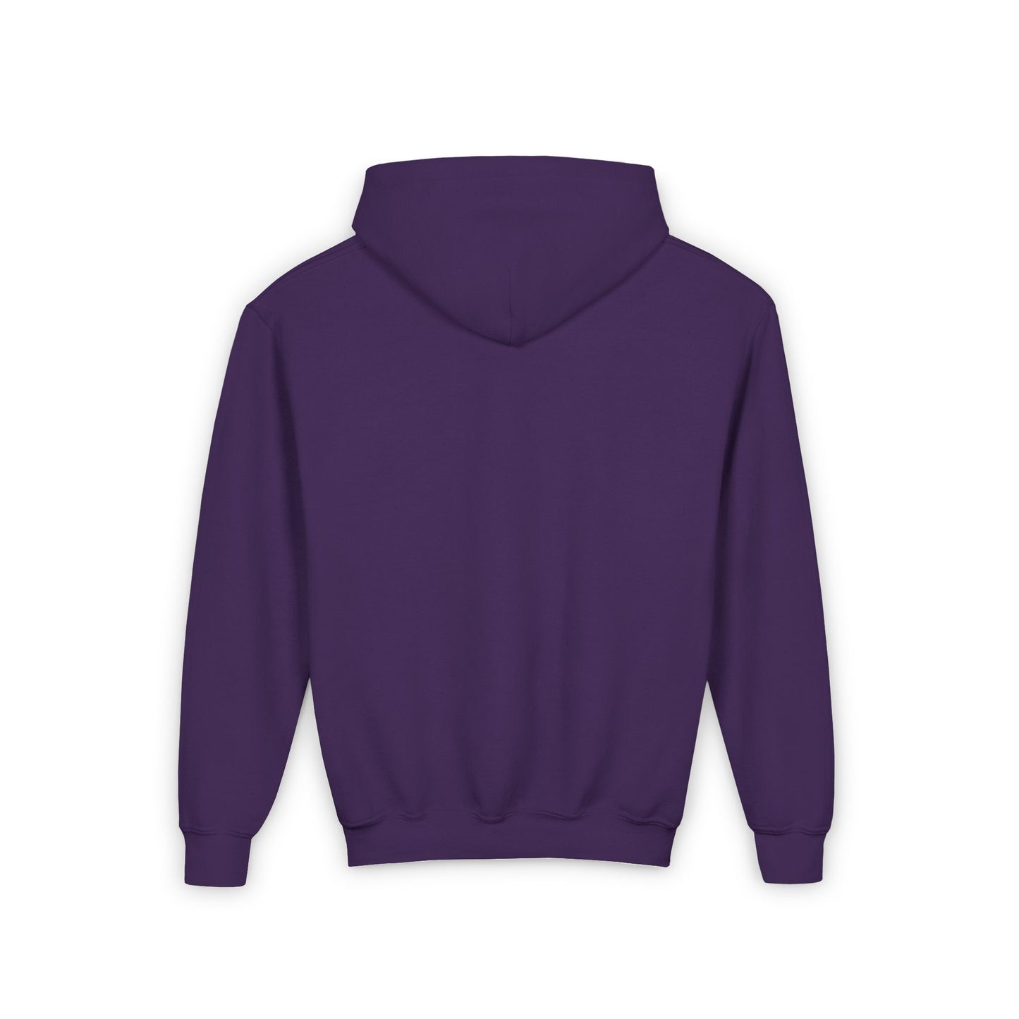 COLORADO Youth Hooded Sweatshirt - Retro Graphic Design for City Pride