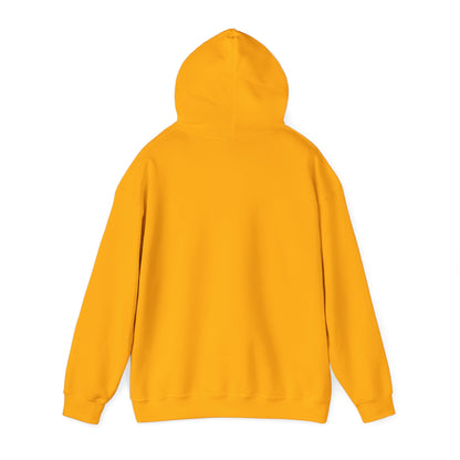 PITTSBURGH ADULT Graphic Hoodie - Unisex Heavy Blend™ - CITY SERIES