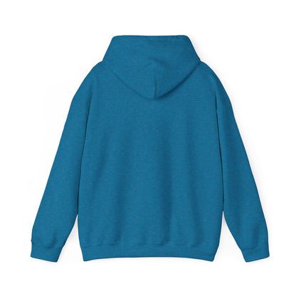 ST LOUIS ADULT Graphic Hoodie - Unisex Heavy Blend™ - CITY SERIES