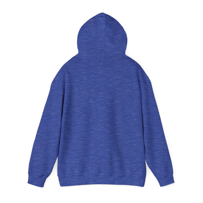 ST LOUIS ADULT Graphic Hoodie - Unisex Heavy Blend™ - CITY SERIES