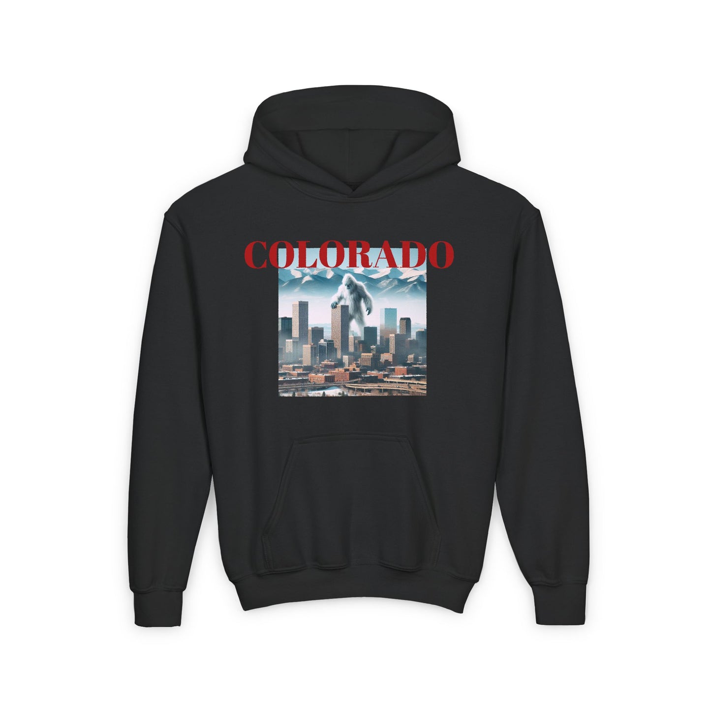 COLORADO Youth Hooded Sweatshirt - Retro Graphic Design for City Pride
