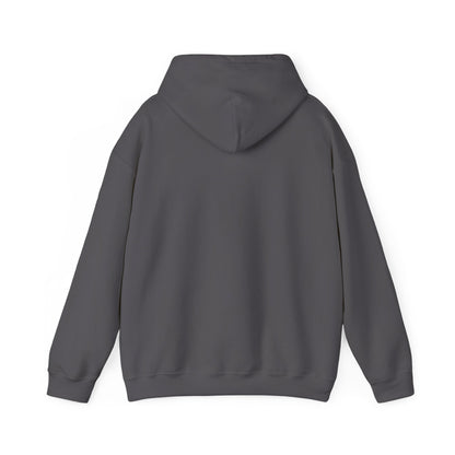 WINNIPEG ADULT Graphic Hoodie - Unisex Heavy Blend™ - CITY SERIES