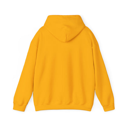 PITTSBURGH ADULT Graphic Hoodie - Unisex Heavy Blend™ - CITY SERIES