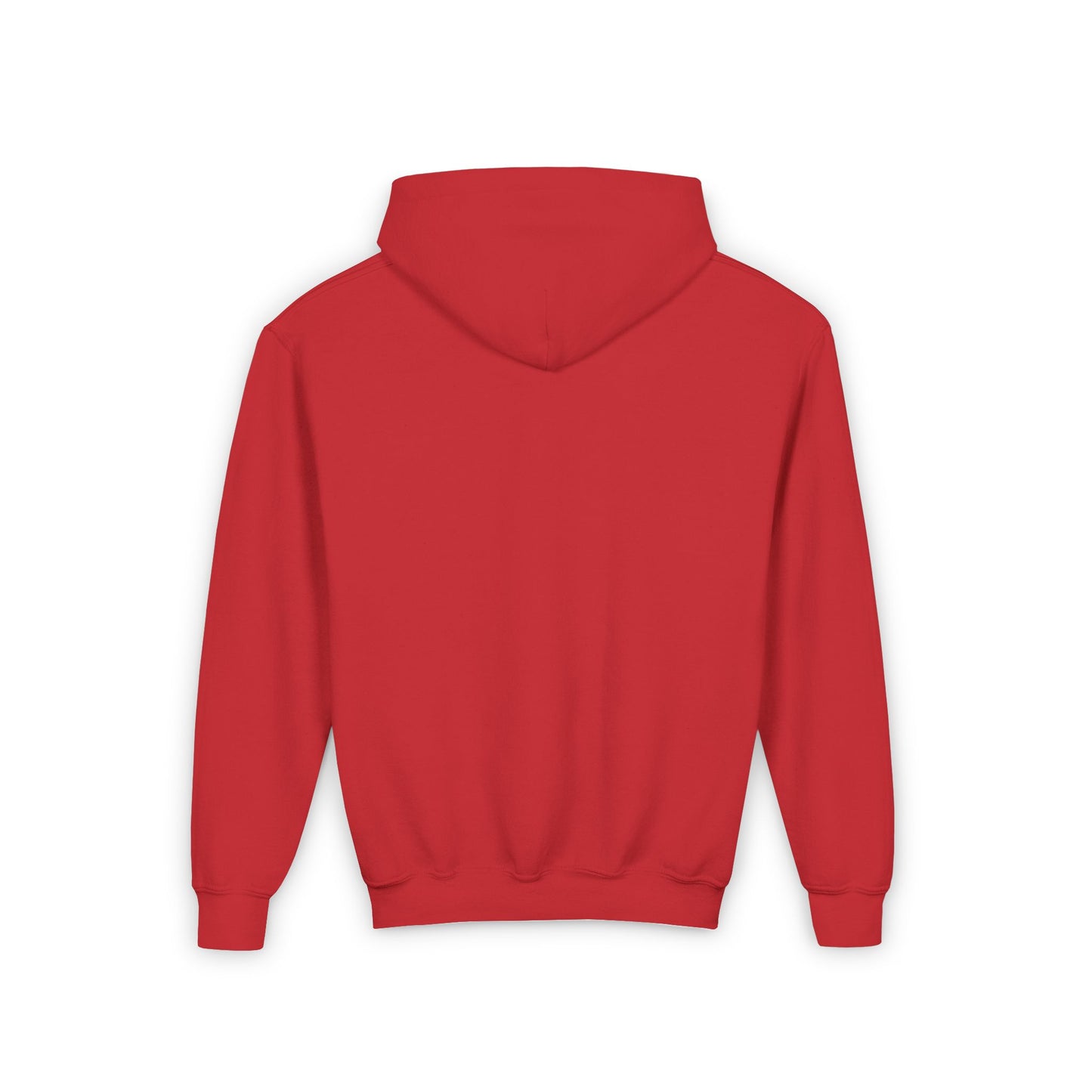 WASHINGTON Youth Hooded Sweatshirt - Retro Graphic Design for City Pride